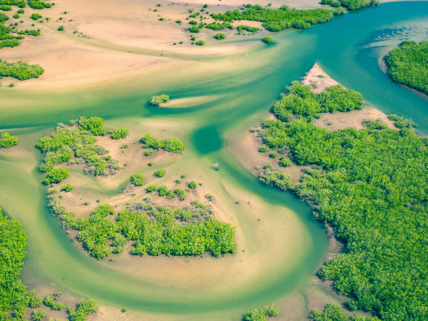 Delta du Saloum