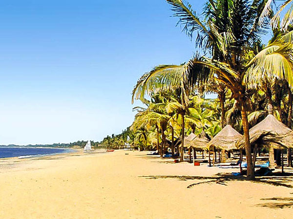 Saly